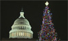 Video thumbnail for Biodiesel Truck Transports Capitol Christmas Tree