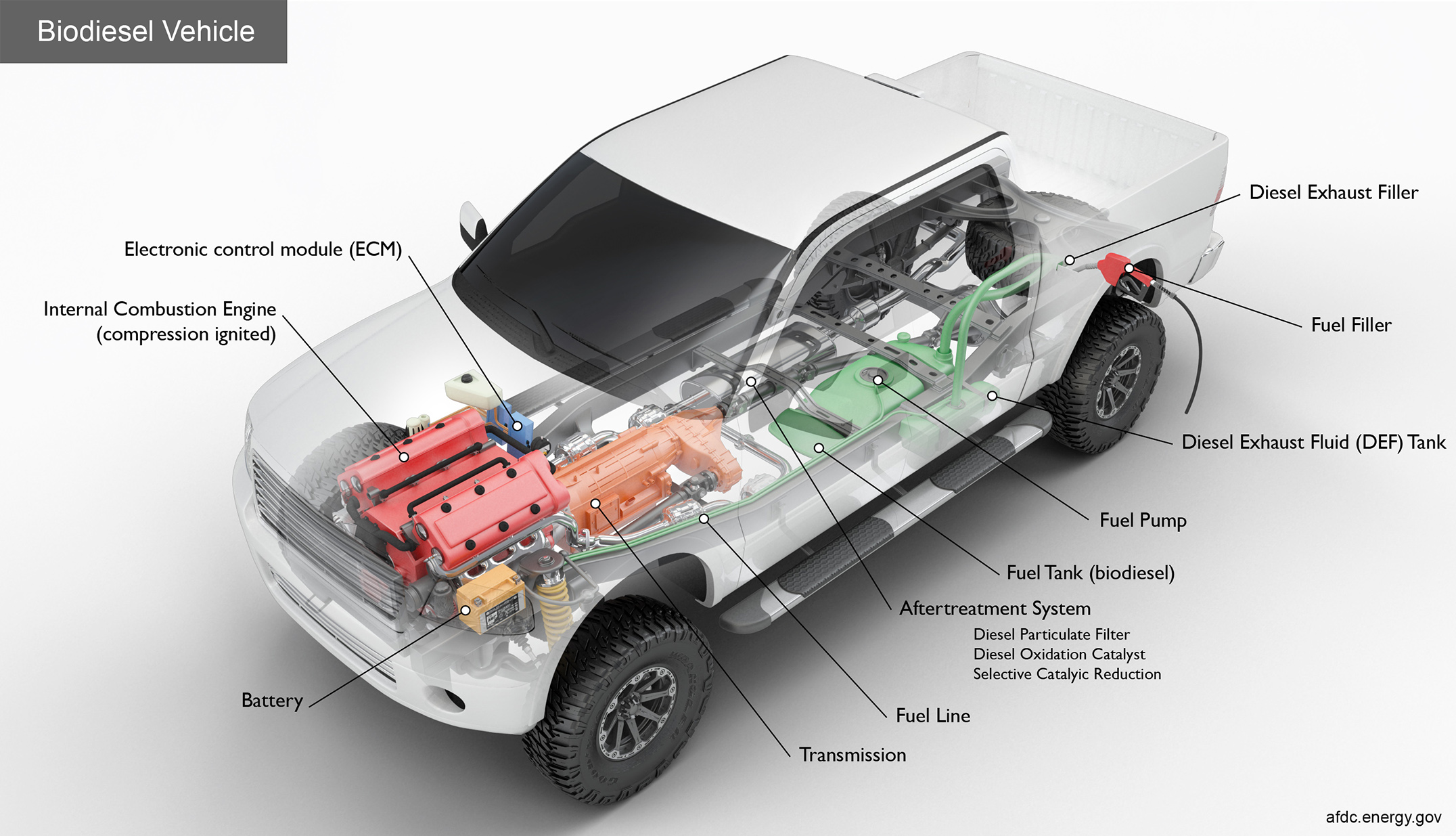 Biodiesel car showing internal components