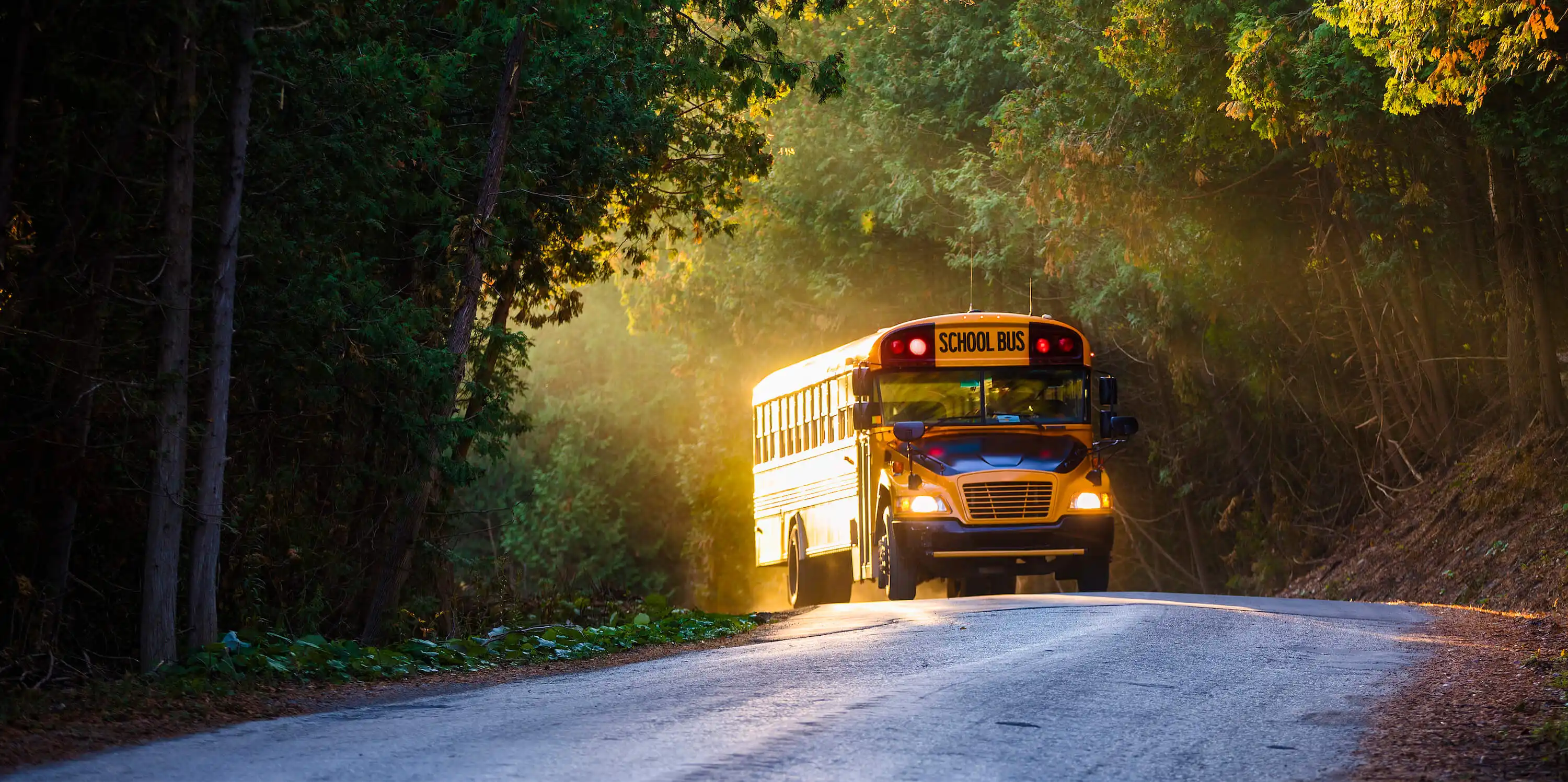 electric school bus driving down a country lane