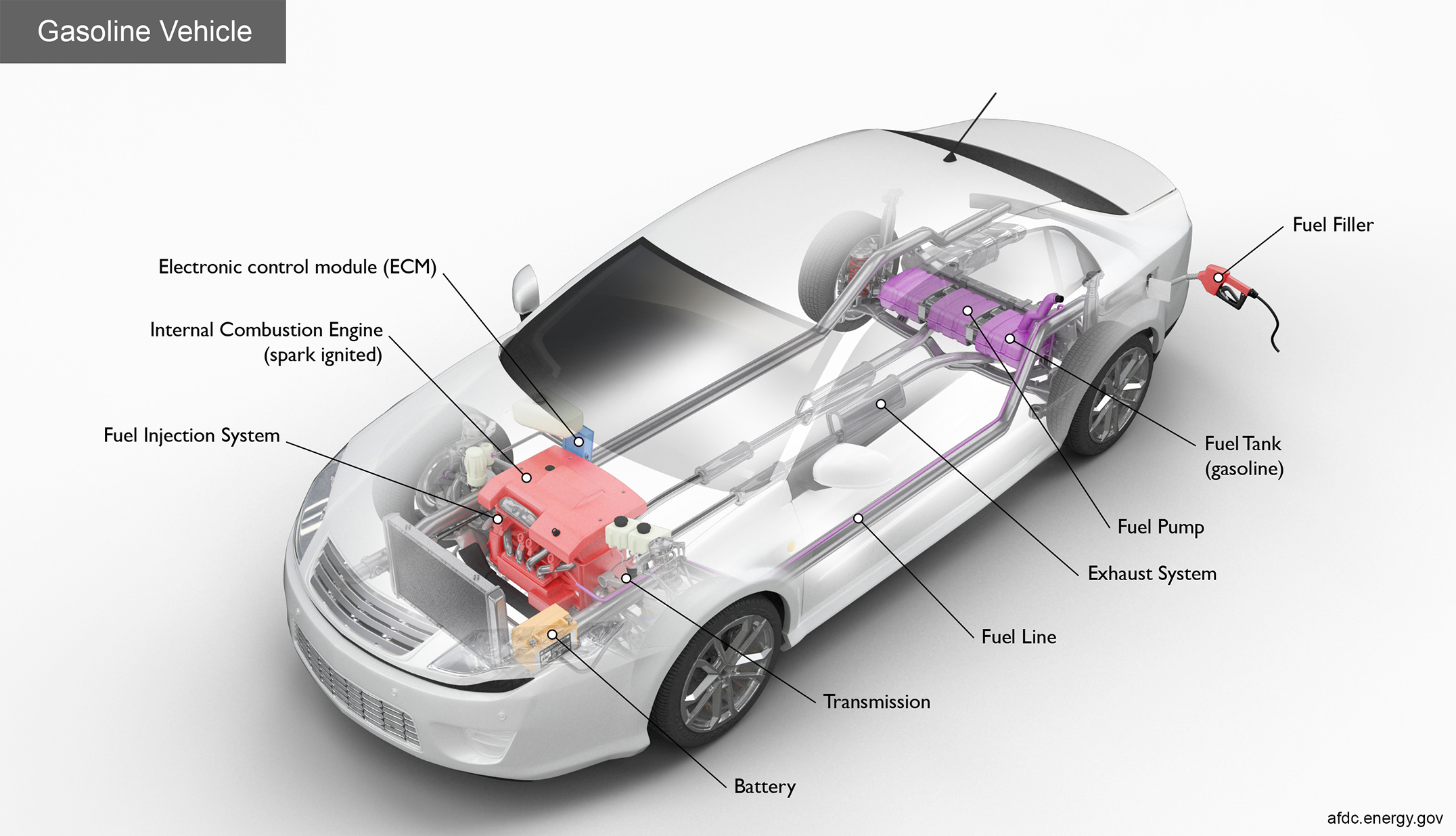 Gasoline car showing internal components